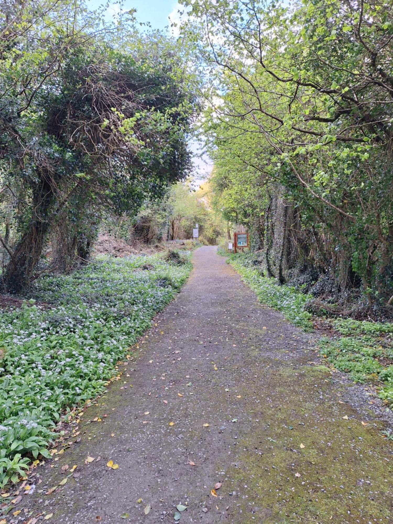 Ard Aoibhinn Roscommon Lecarrow Exterior photo